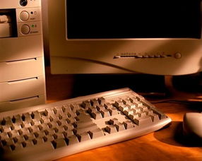 《電子計(jì)算機(jī)圖冊(cè)》 一部網(wǎng)絡(luò)時(shí)代的數(shù)字進(jìn)化簡史